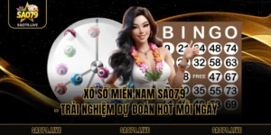 Xổ Số Miền Nam Sao79 – Trải Nghiệm Dự Đoán Hot Mỗi Ngày